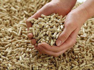 producenci drewna opałowego