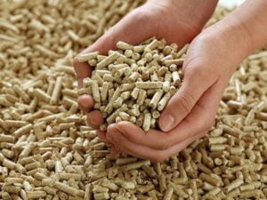 pellet drzewny
